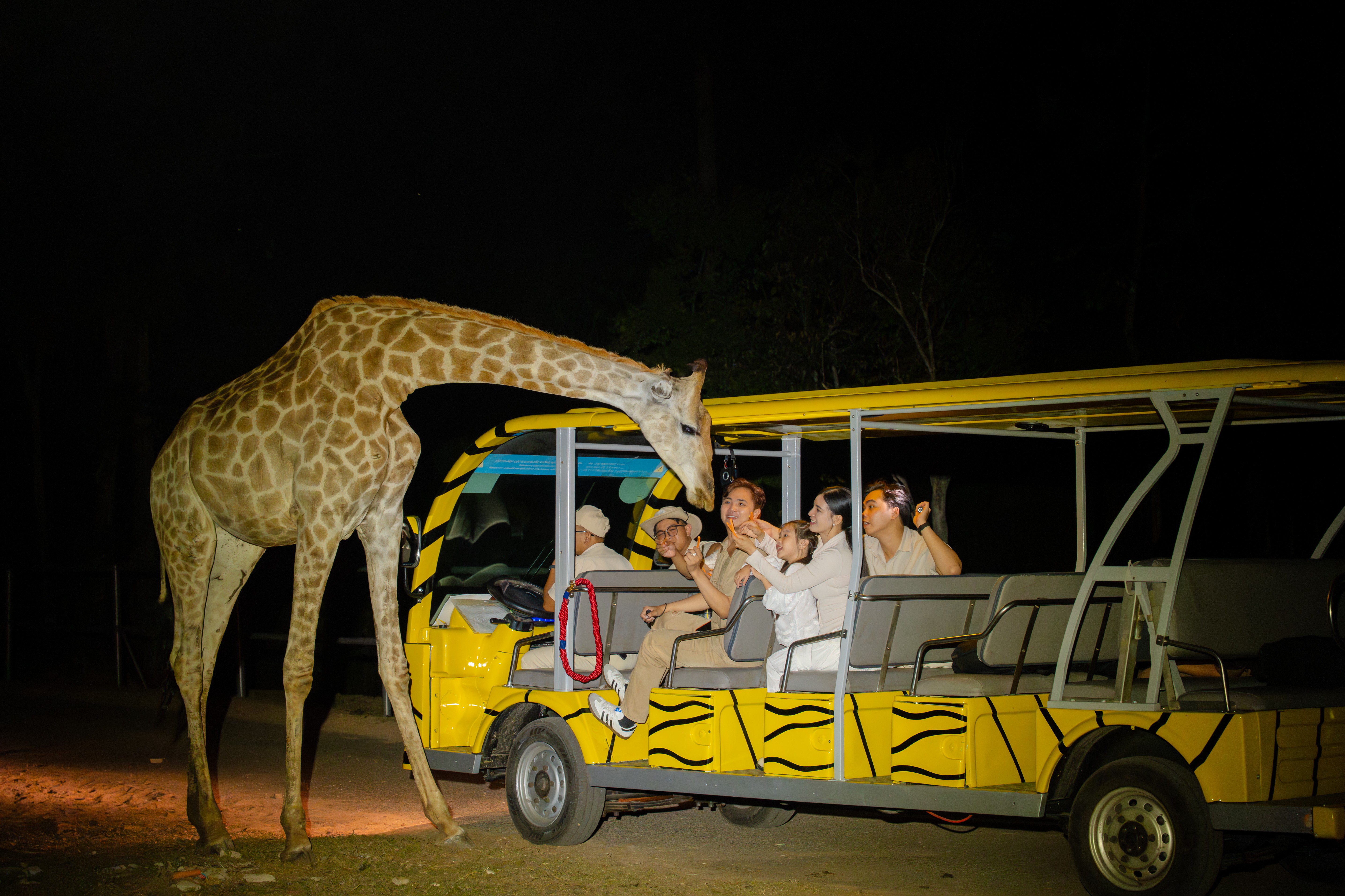 5-phu-quoc-night-safari-1779364138 5-phu-quoc-night-safari-1779364138.jpg