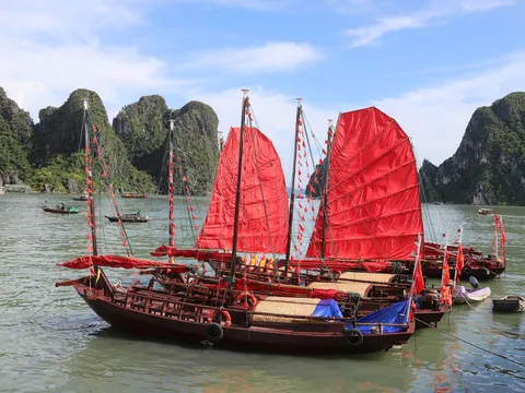 Thuyền buồm sản phẩm du lịch mới trên vịnh Hạ Long, vấn đề mới trong quản lý Di sản